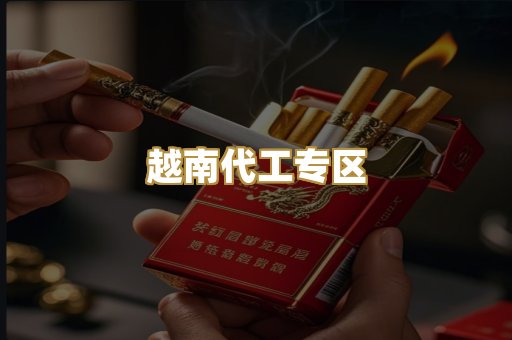 越南代工专区